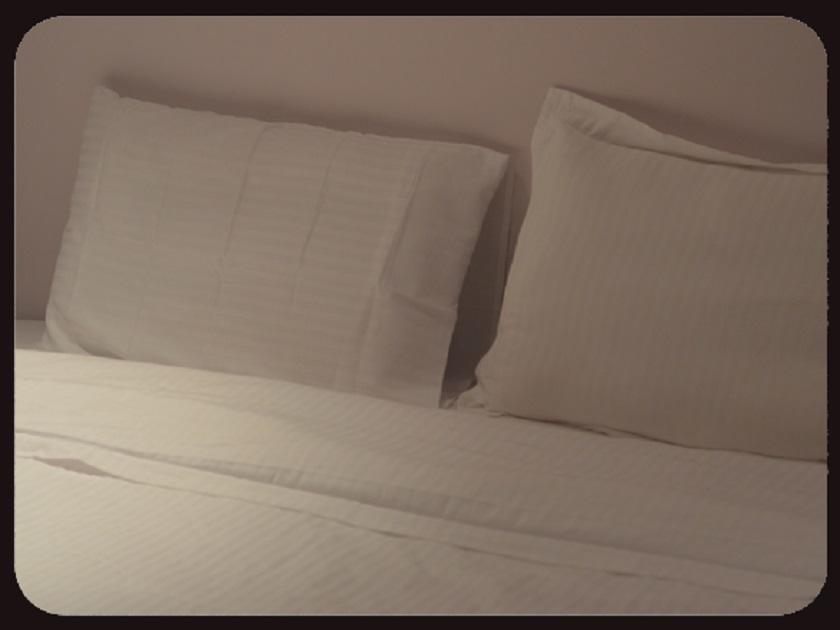 Hotel Zakher Palace